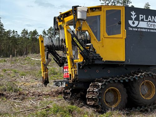 Ny lösning ger skogsplantorna en rivstart