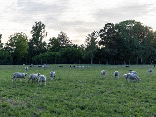 Länsstyrelsen: Vi vill bidra till en saklig diskussion