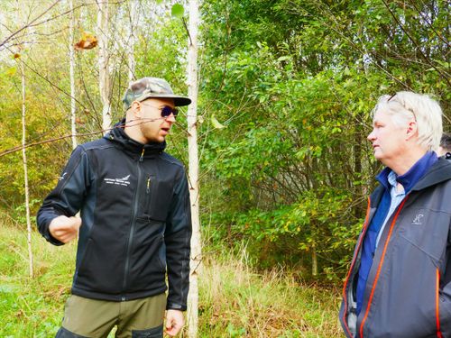 Sverige kan lära björkskötsel – av Lettland: ”Poducerar nästan dubbelt så många plantor”