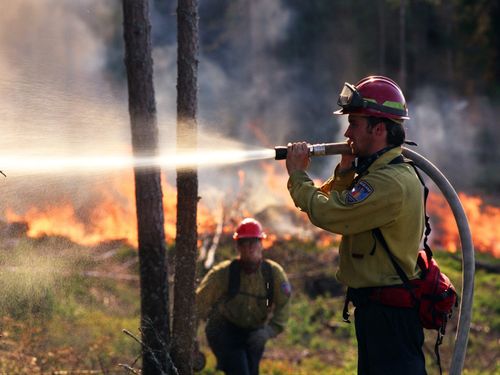 Vi har ingen naturkris som Naturskyddsföreningen påstår