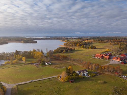 Timbro: Sveriges lant- och skogsbruk behöver mindre politik