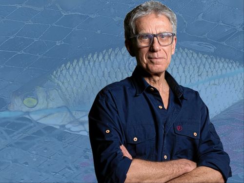 Vad är väl konst och kärlek mot en fisk med gula ögon?