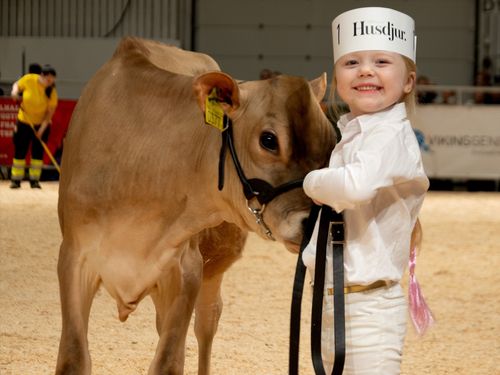 4-åriga Hilda gjorde succé på Elmia