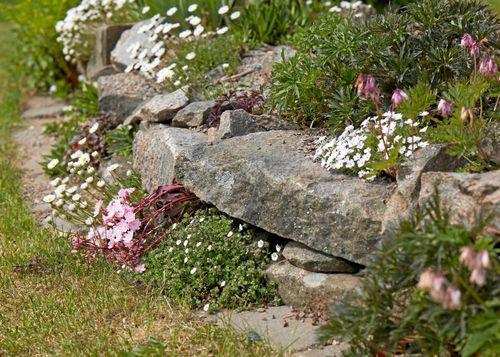 Expertens växtlista för ett prunkande stenparti