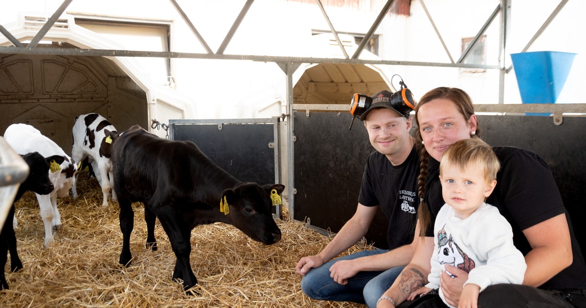 Foto: Förhandsbild från källan: Land.se