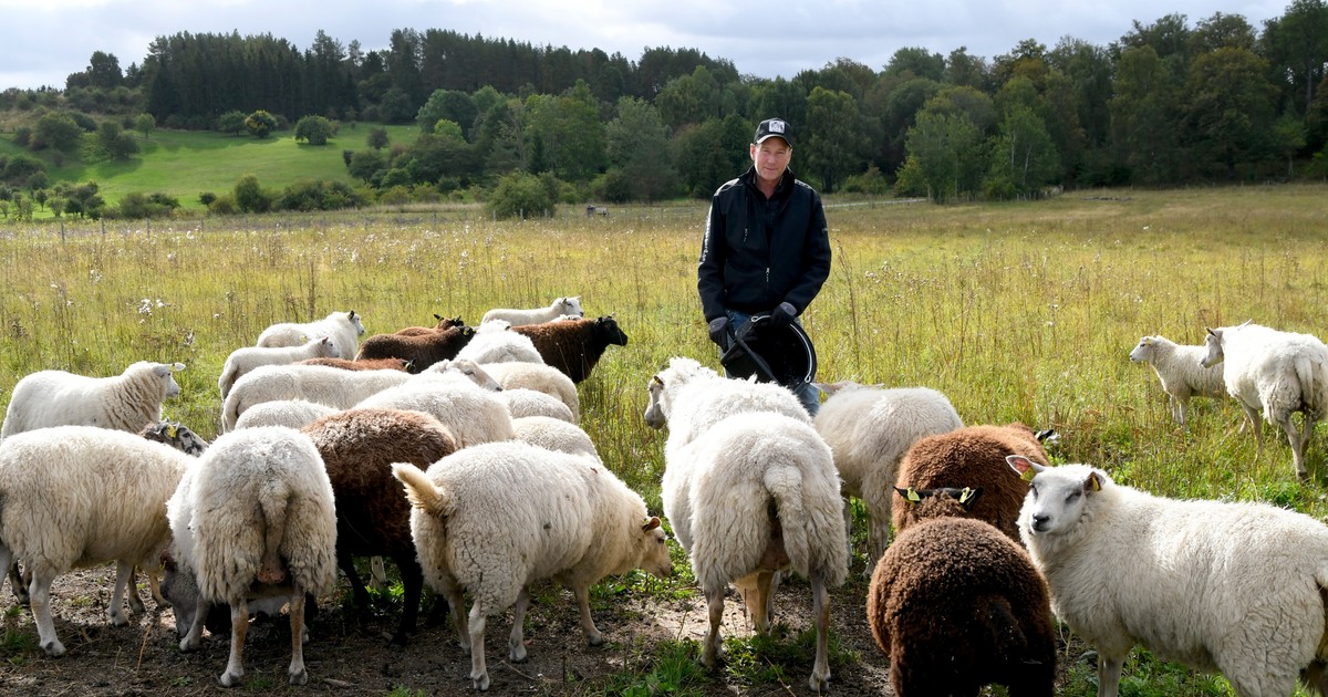 Foto: Förhandsbild från källan: Land.se