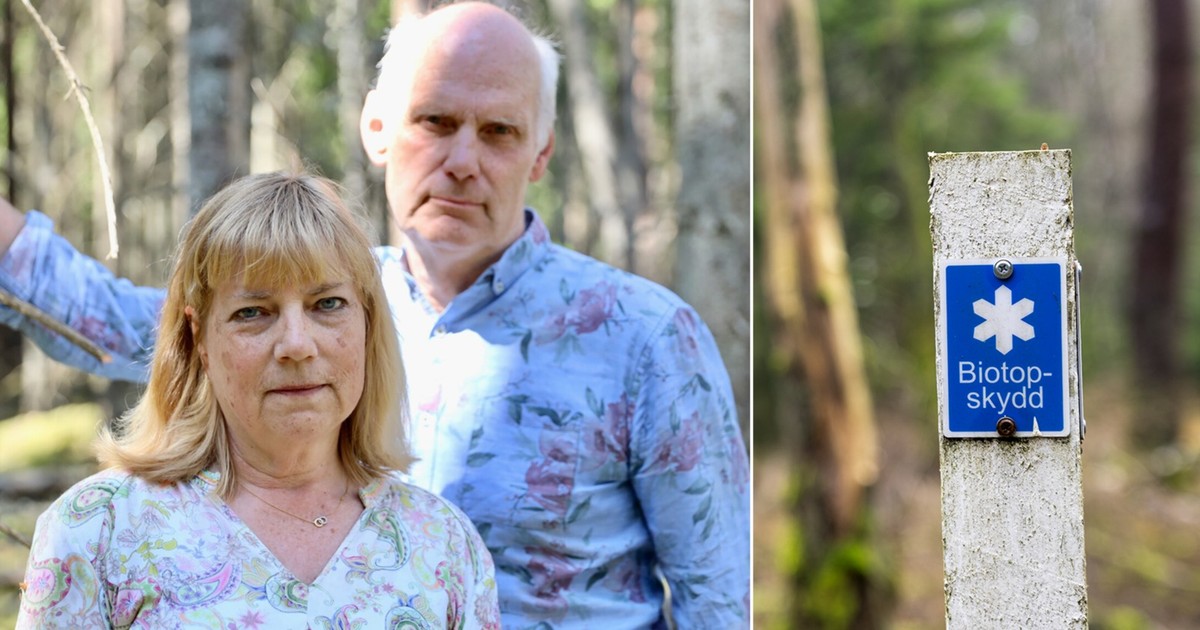 Foto: Förhandsbild från källan: Land.se