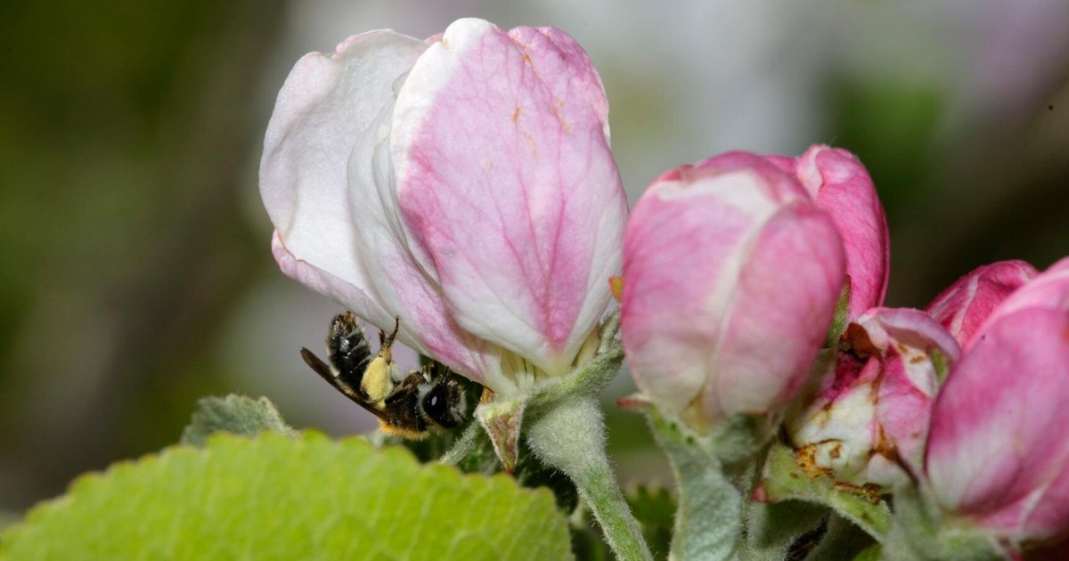 Lezbiyenlar va biseksuallar uchrashadigan joy